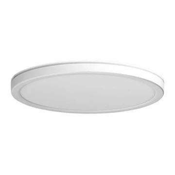 Azzardo AZ5365 - Φωτιστικό οροφής μπάνιου dimming LED PANKA LED/24W/230V IP40 λευκό