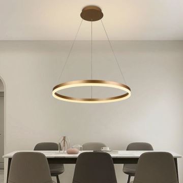 Brilagi - Led Dimmable κρεμαστό φωτιστικό οροφής CIRCLE LED/42W/230V 3000-6500K + τηλεχειριστήριο