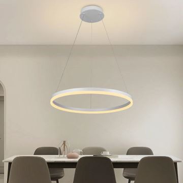 Brilagi - Led Dimmable κρεμαστό φωτιστικό οροφής CIRCLE LED/42W/230V 3000-6500K + τηλεχειριστήριο