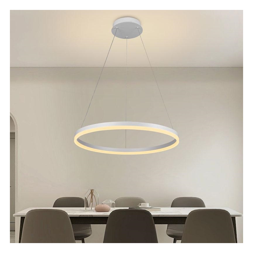 Brilagi - Led Dimmable κρεμαστό φωτιστικό οροφής CIRCLE LED/42W/230V 3000-6500K + τηλεχειριστήριο