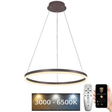 Brilagi - Led Dimmable κρεμαστό φωτιστικό οροφής CIRCLE LED/42W/230V 3000-6500K καφέ + τηλεχειριστήριο