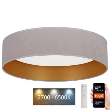 Brilagi - Φωτιστικό οροφής LED Dimmable VELVET SMART LED/36W/230V δ. 55 cm 2700-6500K Wi-Fi Tuya κρεμ/χρυσό + τηλεχειριστήριο