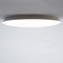 Brilagi - Φωτιστικό οροφής LED VESTAS LED/45W/230V 4000K IP54