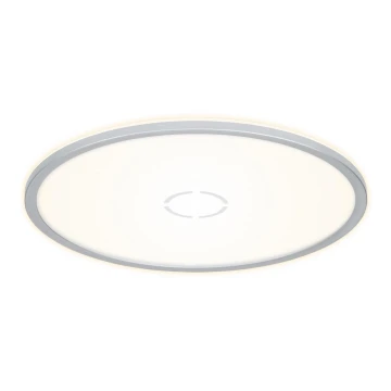 Briloner 3392-014 -  LED Φωτιστικό οροφής FREE LED/22W/230V δ. 42 cm