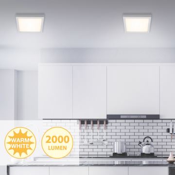 Briloner 7142-014 - Φωτιστικό οροφής LED FIRE LED/21W/230V 3000K