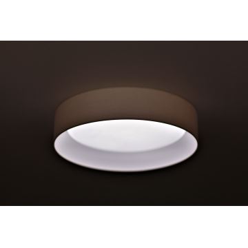 Duolla - Φωτιστικό οροφής LED ROLLER LED/24W/230V κρεμ