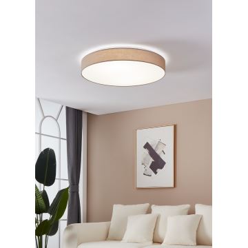 Eglo - Φως οροφής dimmer LED LED/60W/230V