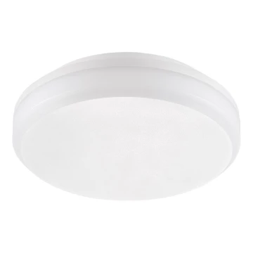 Emithor 63206 - Φως εργασίας οροφής LED SURFACE 1xLED/20W/230V IP65