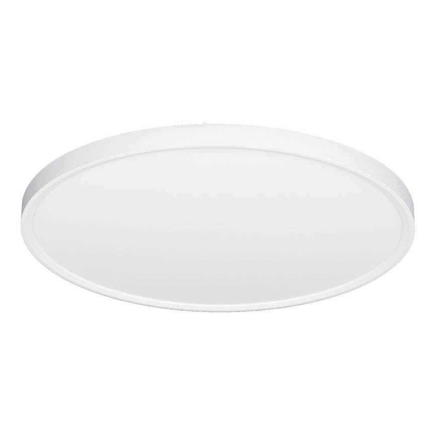 Fulgur 42363 - Φωτιστικό οροφής LED NOMY LED/40W/230V 3000/4000/6000K διάμετρος 50 cm λευκό