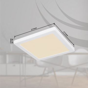 Globo - Φωτιστικό οροφής LED LED/18W/230V 3000/4000/6500K λευκό