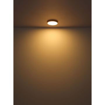 Globo - Φωτιστικό οροφής LED LED/15W/230V διάμετρος 25 cm