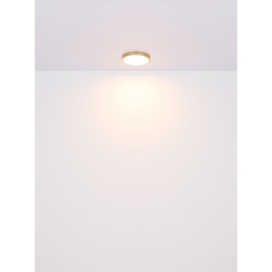 Globo - Φωτιστικό οροφής LED LED/15W/230V διάμετρος 25 cm