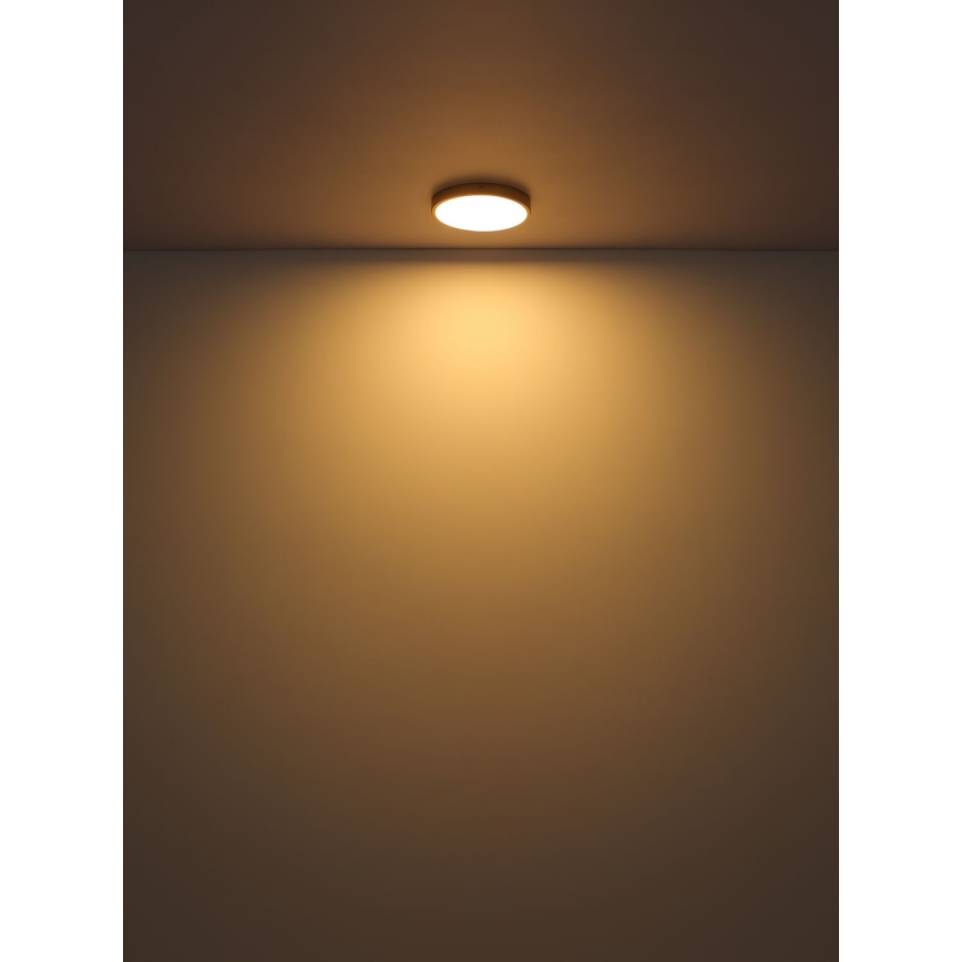 Globo - Φωτιστικό οροφής LED LED/22W/230V διάμετρος 35 cm