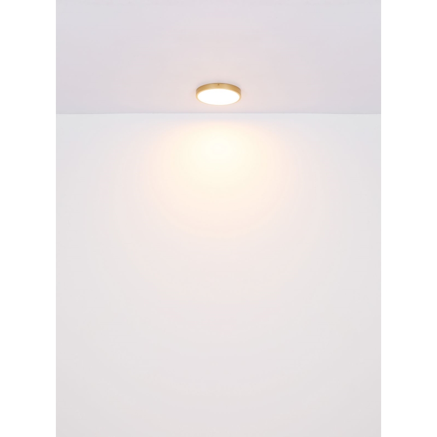 Globo - Φωτιστικό οροφής LED LED/22W/230V διάμετρος 35 cm