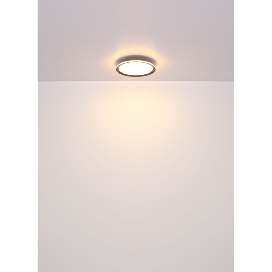 Globo - Φωτιστικό οροφής LED LED/39W/230V διάμετρος 40 cm