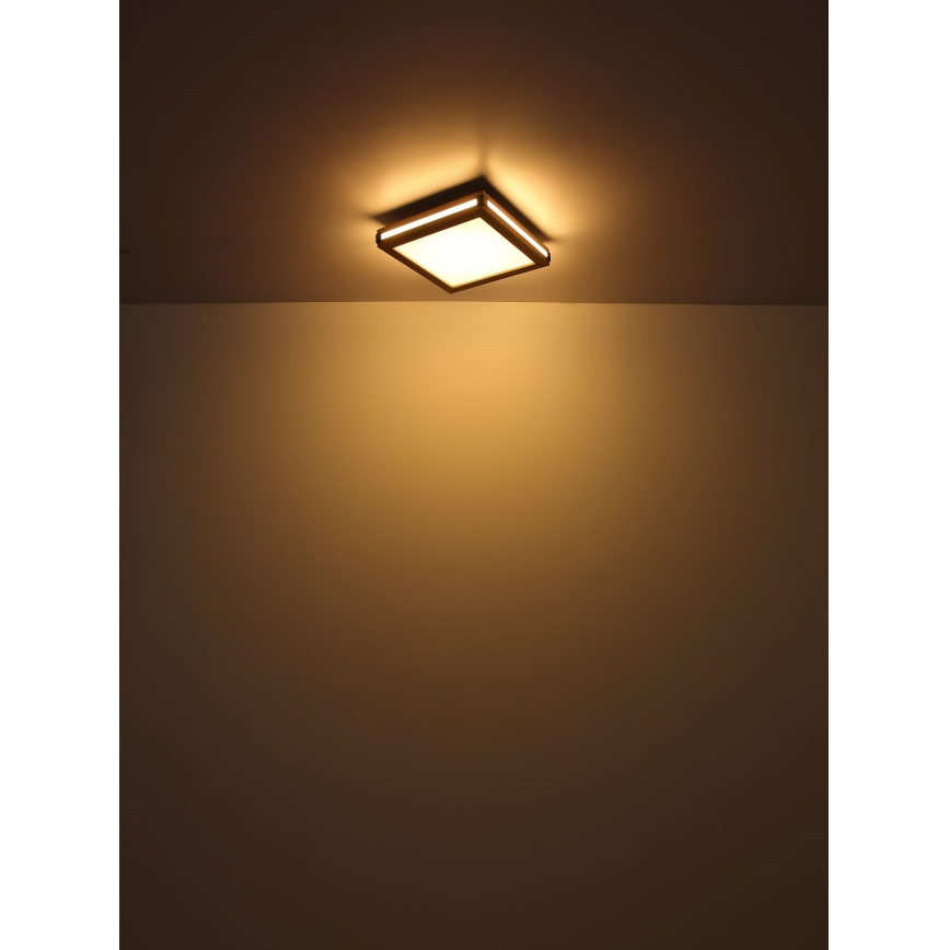Globo - Φωτιστικό οροφής LED LED/24W/230V 45x45 cm