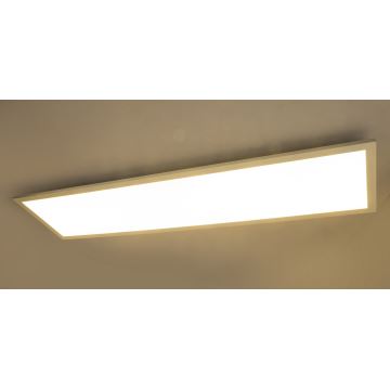 Globo - LED πλαφονιέρα - πάνελ ROSI LED/40W/230V