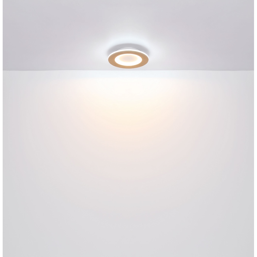 Globo - Φωτιστικό οροφής LED LED/23W/230V
