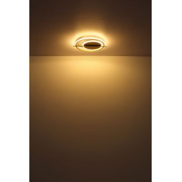 Globo - Φωτιστικό οροφής LED LED/36W/230V