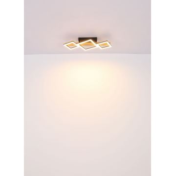 Globo - Φωτιστικό οροφής LED LED/29W/230V