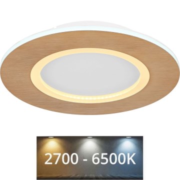 Globo - Φωτιστικό οροφής LED LED/23W/230V 2700/6500K