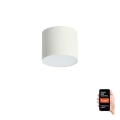 Immax NEO 07241L - LED Dimmable φωτιστικό οροφής RONDATE LED/18W/230V 11,5cm Wi-Fi Tuya