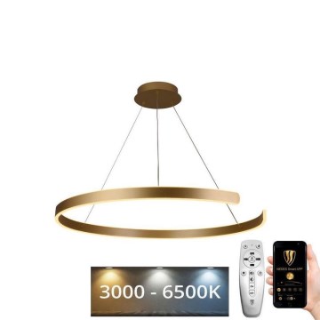 LED Dimmable κρεμαστό φωτιστικό οροφής  LED/100W/230V 3000-6500K+ τηλεχειριστήριο