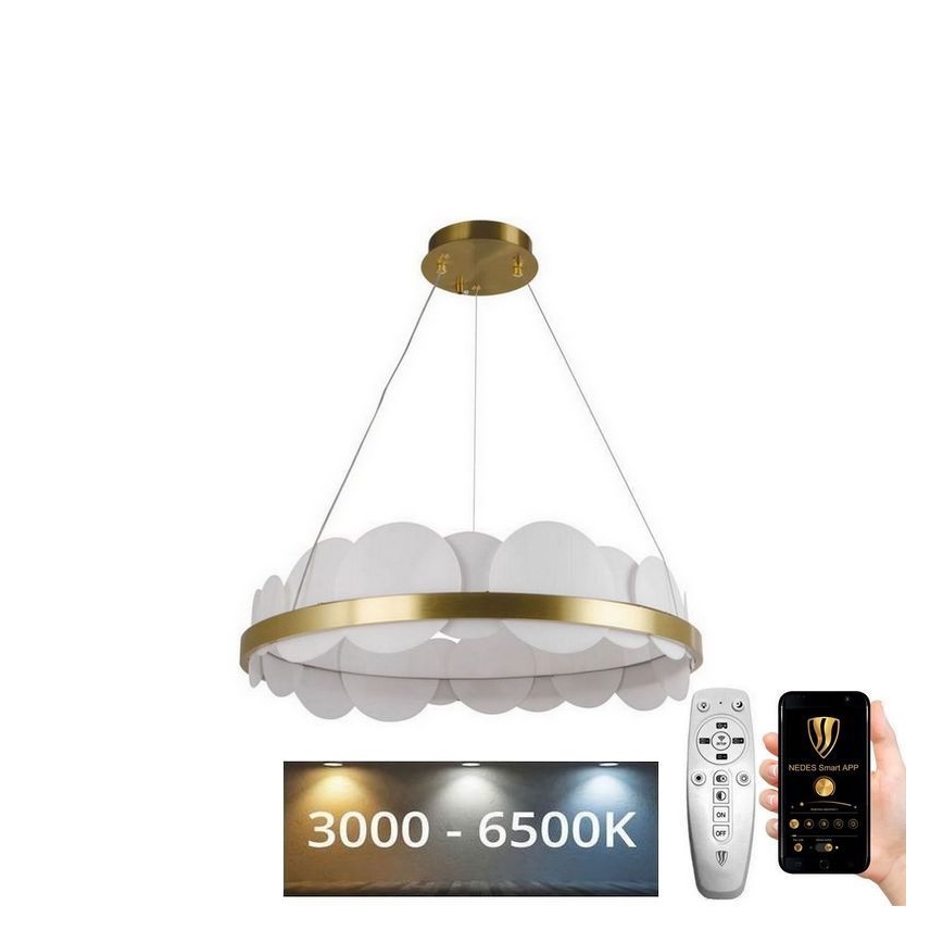 Led Dimmable κρεμαστό φωτιστικό οροφής LED/40W/230V 3000-6500K χρυσαφί + τηλεχειριστήριο
