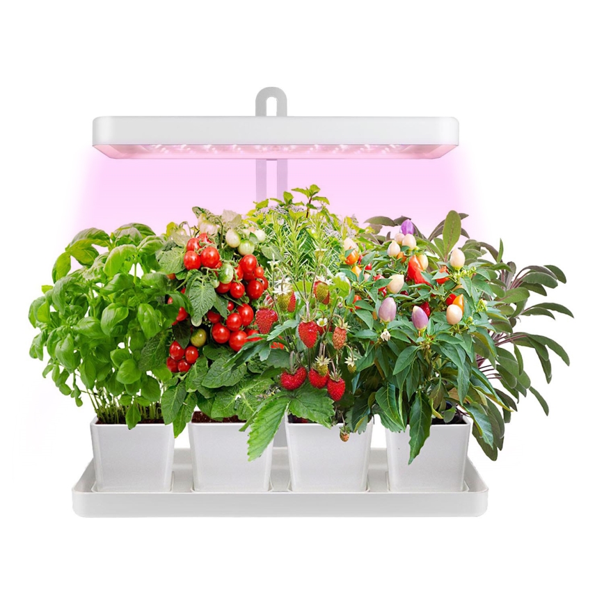 LED Interior lamp για growing plants LED/20W/5V 3500K