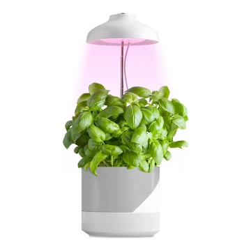 LED Interior lamp για growing plants LED/5W/5V 3200K