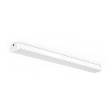 Philips 31247/31 / P0 -LED Τεχνικός λαμπτήρας φθορισμού AQUALINE LED / 50W / 230V IP65