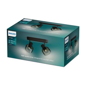 Philips - Φωτιστικό σποτ SLEET 2xE14/25W/230V