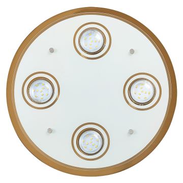 Rabalux - Φως οροφής LED 4xGU10/5W/230V