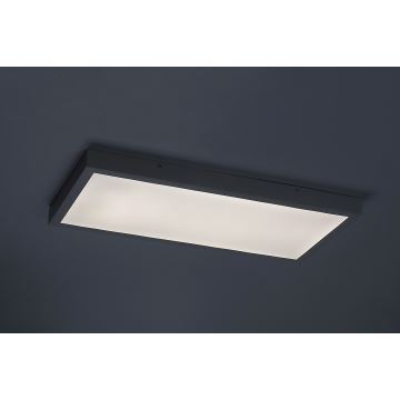 Rabalux - LED Φωτιστικό οροφής πλαφονιέρα  LED/24W/230V 4000K 60x30 cm