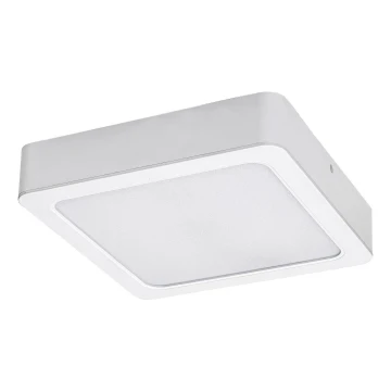 Rabalux - Φωτιστικό οροφής LED LED/15W/230V 4000K 16x16 cm λευκό