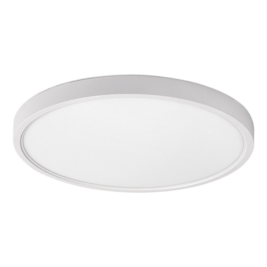 Rabalux - Φωτιστικό οροφής LED LED/24W/230V 4000K διάμετρος 30 cm λευκό