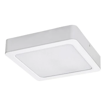 Rabalux - Φωτιστικό οροφής LED LED/7W/230V 3000K 12x12 cm λευκό