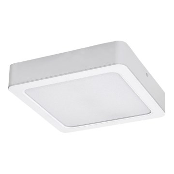 Rabalux - Φωτιστικό οροφής LED LED/7W/230V 4000K 12x12 cm λευκό