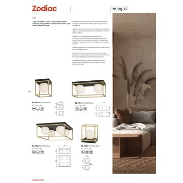 Redo 01-3053 - Φωτιστικό οροφής ZODIAC 1xE14/28W/230V