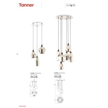 Redo 01-3192 - Πολύφωτο με συρματόσχοινο TANNER 3xE14/28W/230V