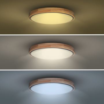 LED Dimmable φωτιστικό οροφής IRON OAK LED/48W/230V 3000-6500K δρυς διάμετρος 40 cm + τηλεχειριστήριο