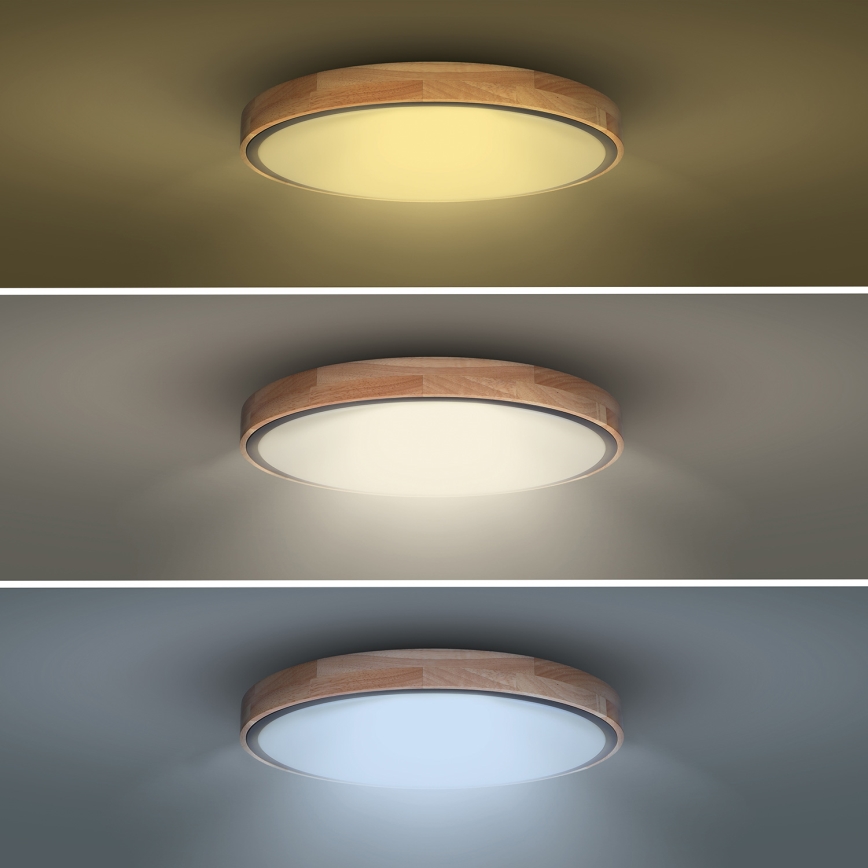 LED Dimmable φωτιστικό οροφής IRON OAK LED/48W/230V 3000-6500K δρυς διάμετρος 40 cm + τηλεχειριστήριο