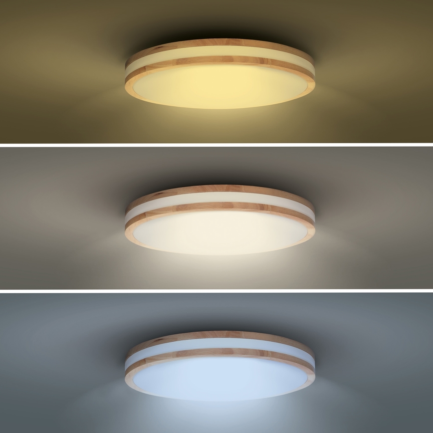 LED Dimmable φωτιστικό οροφής WOODY LED/60W/230V 3000-6500K δρυς διάμετρος 50 cm + τηλεχειριστήριο