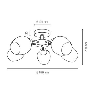 Συνδεδεμένο πολύφωτο PARMA 5xE27/40W/230V