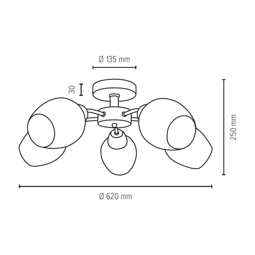 Συνδεδεμένο πολύφωτο PARMA 5xE27/40W/230V