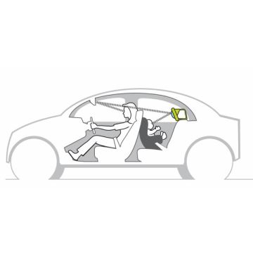 Taf Toys - Koala in car παιχνίδι αυτοκινήτου με καθρέφτη