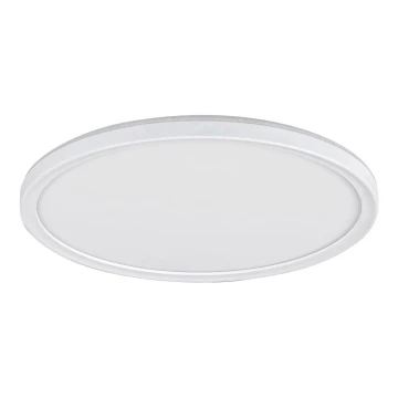 Φως οροφής dimmer LED PAVEL LED/22W/230V