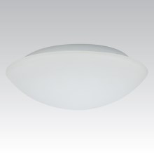 Φως τοίχου εξωτερικού χώρου KAROLINA 2xE27/60W γυαλί οπαλίνα IP44