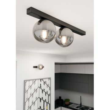 Φωτιστικό οροφής FIT 2xE14/10W/230V μαύρο/γκρι