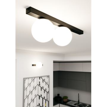 Φωτιστικό οροφής FIT 2xE14/10W/230V μαύρο/λευκό